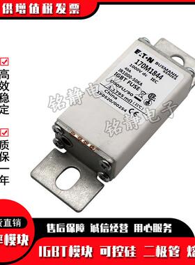 170M1730 170M1731 170M1732 170M1733 170M1734巴斯曼熔断器现货