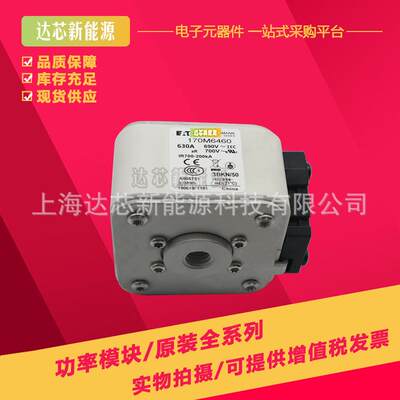 170M6344 170M6345 170M6346 170M6347 170M6348 170M6349熔断器