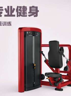 坐姿三头肌伸展插销负重健身器材力量肱三头肌训练器Seated Dip