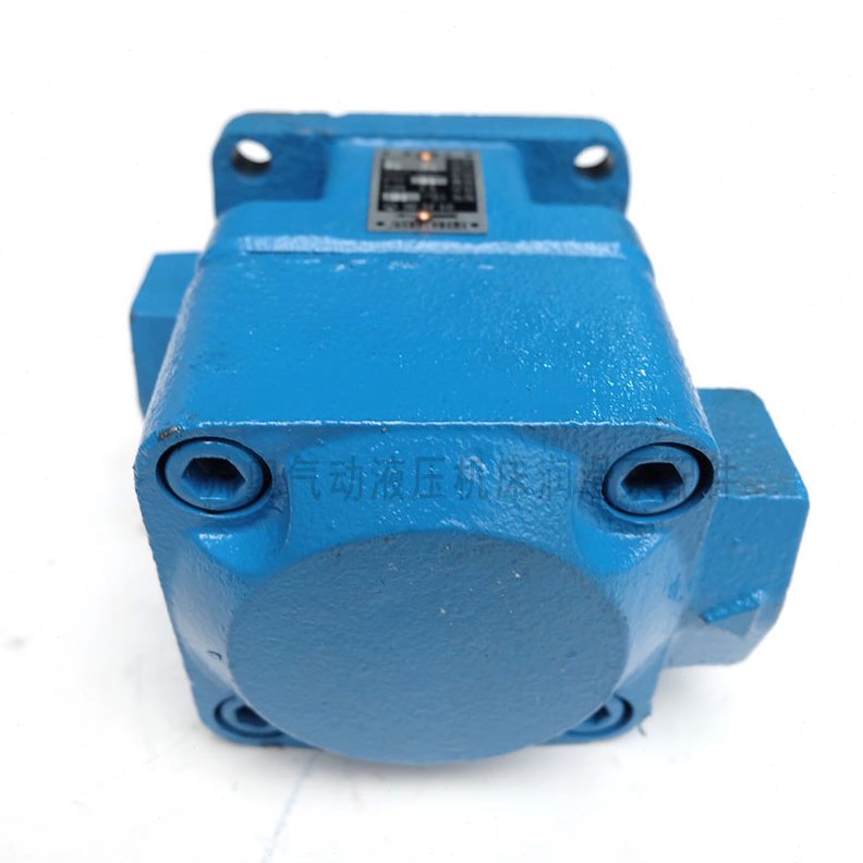 /Y/Y/YB1/Y202511--1-叶片泵1B-163212B液压站YB-低压油泵B