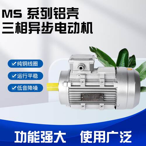 YE4三相铝壳电机IE4能效风机RV减速机装配马达380V B14小法兰电机