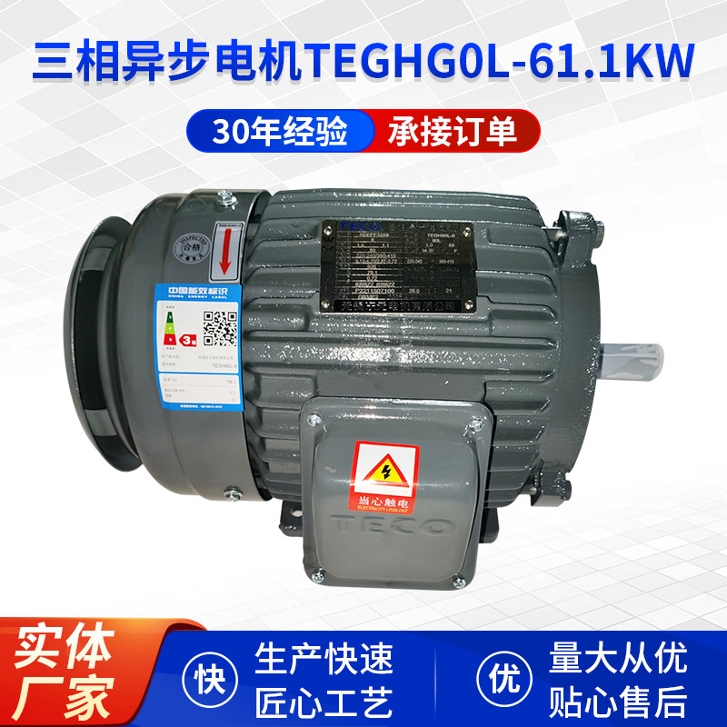 三相异步电机TEGHG0L-61.1KW三相异步电机灰色纺织机配件