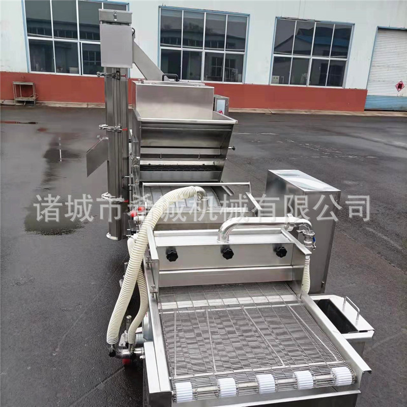 金针菇上浆机  西兰花裹粉设备 自动淋浆机 上粉上糠机油炸配套线