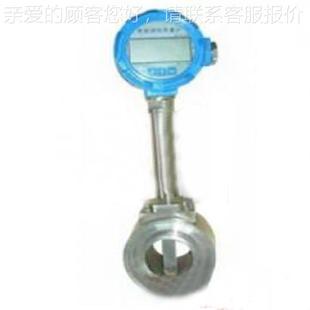 温式气 体量计热气体质量流EWR流量计,气体流量计,式气体流速仪