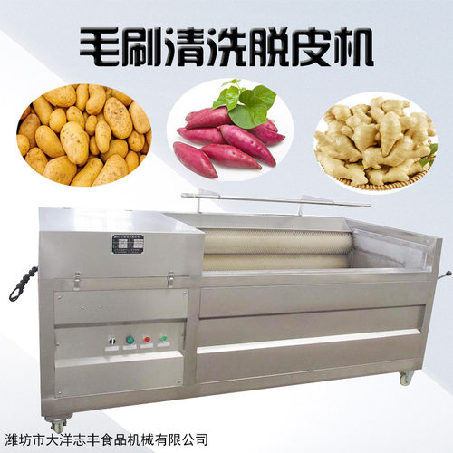 红薯清洗脱皮机毛刷式无损伤型号多样预制菜加工设备毛芋去皮设备