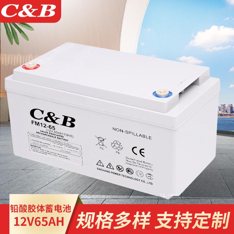 厂家12v65ah太阳能路灯GEL铅酸电池 免维护家用太阳能胶体蓄电池