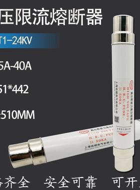 保险管XRNT1-24KV/100A 125A 160A 200A高分断能力高压限流熔断器