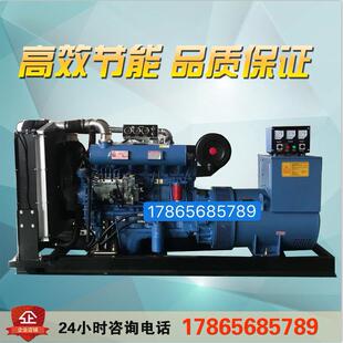 500 大型发电机组 300 200 800kw潍坊上柴玉柴系列柴油发电机 100