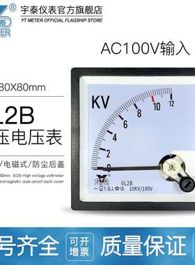 6L2B交流高压电压表3kv 6kv 10kv 12kv 40kv输入100v cp80 be80