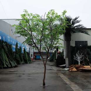 仿真槐树假榆树室内外庭院真木杆装饰新款假树塑胶叶园林景观造景