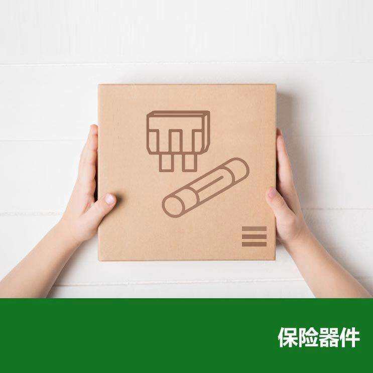 SIBA保险管 5005806 16A/20A/32A/40A/50A 600V aR 14X51 100ka