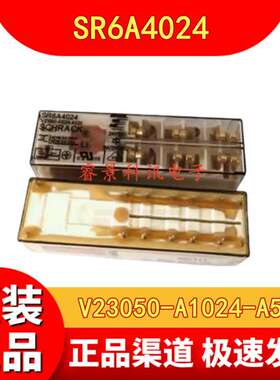 V23050-A1024-A533 24VDC继电器 SR6A4024 三开三闭 0-1415015-1