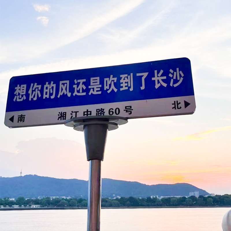 交通标志牌 城市道路双面导向牌 街道T型指路牌 路名牌厂家