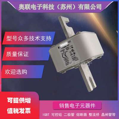 170M5138 170M5139 170M5140 170M5141 170M5142巴斯曼熔断器保险