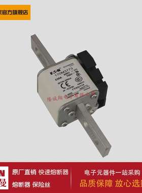 熔断器170M3708 170M3709 170M3710 170M3711 170M3712 170M3713