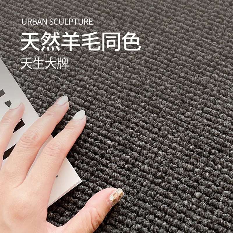 现代轻奢客厅家用沙发茶几毯深色羊毛简约地毯免打理耐脏卧室地垫