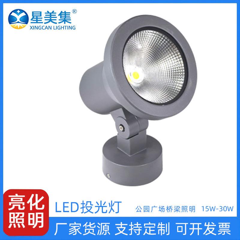 0-10V调光LED投光灯户外广场夜景园林工程照树灯圆形投光灯30W