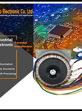 130w/130VA环形变压器电源hifi变压器2017环牛230v转双向12v25v5v