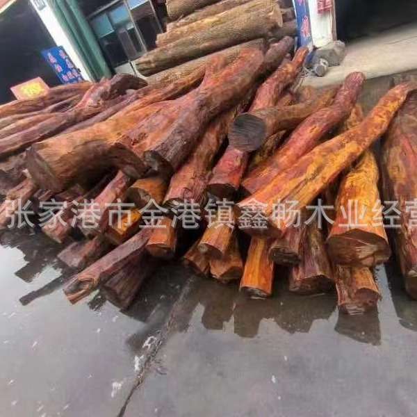 海黄木材 越黄原木 中美洲黄花梨 紫蝴蝶海南黄花梨 墨西哥黄花梨