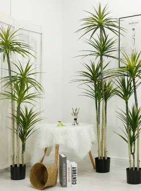 Atificial plants北欧假巴西铁马尾铁仿真植物客厅落地龙血树绿植