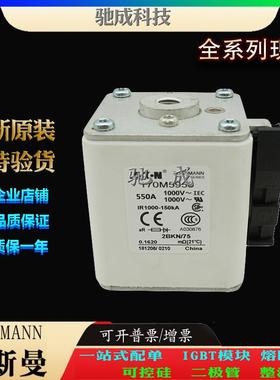 巴斯曼170M5958 170M5959 170M5960 厂价供应出厂价格 特种保险丝