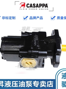 凯斯帕CASAPPA液压齿轮泵KP30.24-33S3-LMDMB-45-HSC/PLP20油泵
