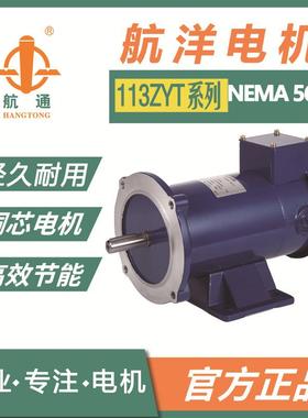 113ZYT180-1/4-1750系列永磁直流电机 1750rpm有刷电机出口