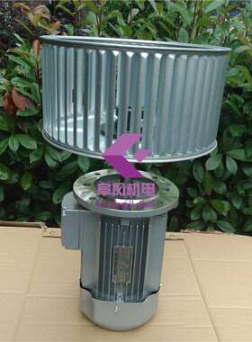 非标加长轴电机 YE2-8024 4级1400转,0.75kw,耐高温烤箱热风循环