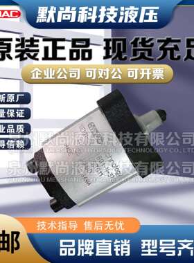 贺德克HYDAC齿轮泵PGE101-100/125/160/200/250/315/365-RBQ1-N泵