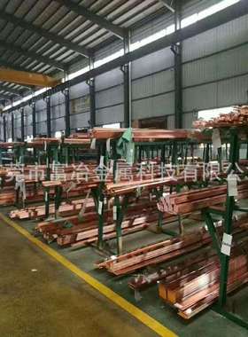 富冶厂家直销环保c1100紫铜排5*50 T2接地镀锡紫铜排 规格齐全