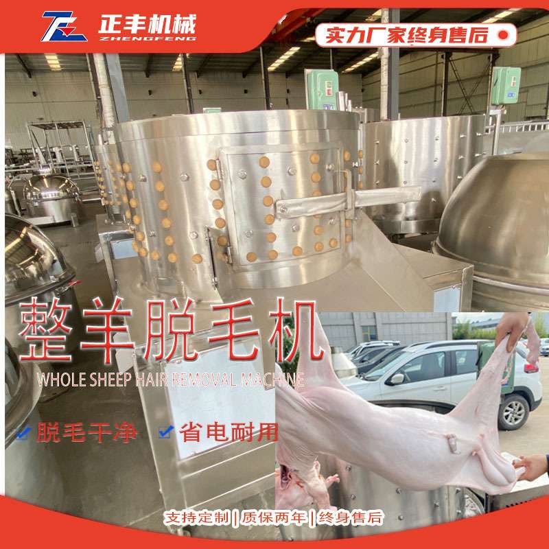 圆筒式整羊脱毛机 全自动商用猪羊头蹄抛光刨毛机 小型羊狗打毛