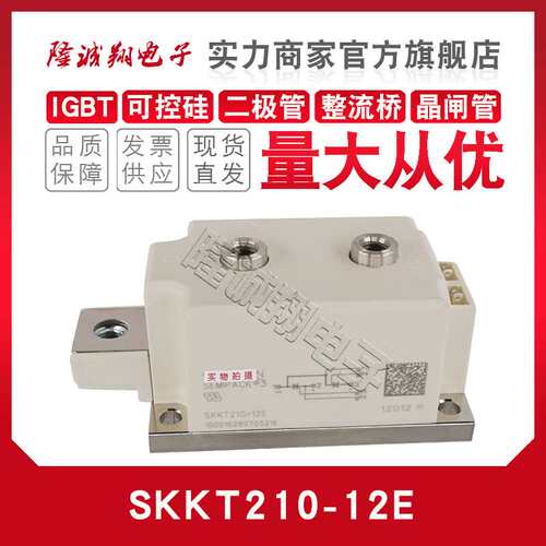 可控硅SKKT161 162 172 210 213/08E 12E 14E 16E 18E 20E 22EH4