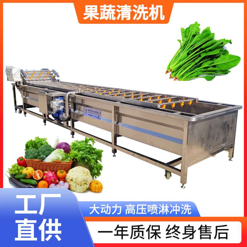 全自动气泡清洗机 喷淋式桃子荔枝树莓清洗设备 山野菜清洗设备