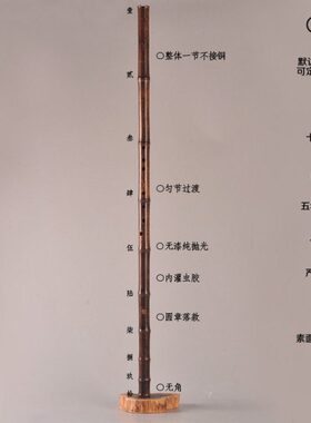 十节九目/九节洞箫萧/专业精制乐器素洞箫/演奏精品EFG调素箫乐器