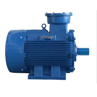 实体厂家YB3 42.2W煤矿井下用隔爆三相异防爆电机铜芯线 100L1