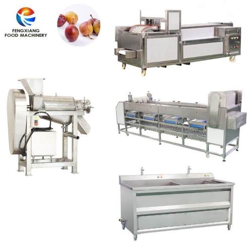 大型小型果李子去核分级清洗榨汁生产设备