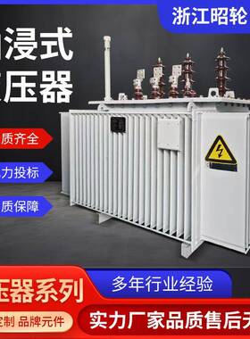 S11-M-630KVA三相油浸式变压器S13电力变压器250/315/400/500KVA