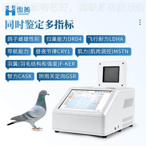 赛鸽飞行雄能力鉴定仪鸽子DN归巢检测红外别雌性HM-P32鉴别仪高A