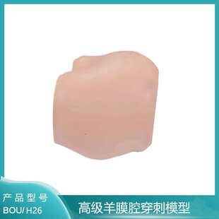 高级羊膜腔穿刺模型