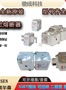 罗兰FR10GB69V1 FR10GB69V1.25 FR10GB69V1.5 保险丝 供应价优