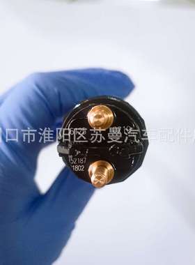 0445120219 共轨喷油器总成 适用德国曼卡车 直售 质保 跨境供应