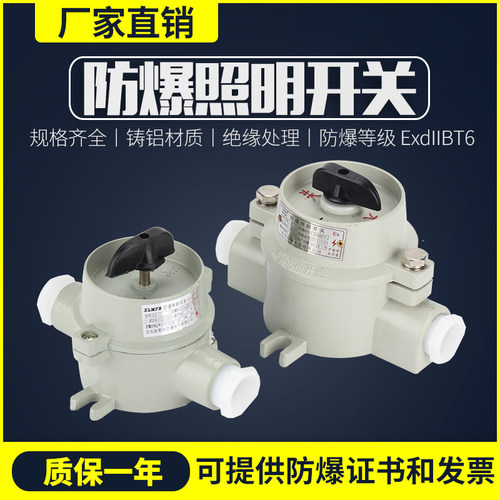 防爆开关 防爆照明开关 防爆开关墙壁 SW-10/220V 380V