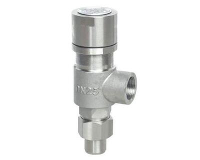 A21W F Y-16P/25P 304不锈钢弹簧微启式安全阀 A21H-16C/40C DN15