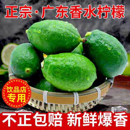 新鲜现摘正宗广东香水柠檬浓香型爆香型手打柠檬茶奶茶店专用柠檬