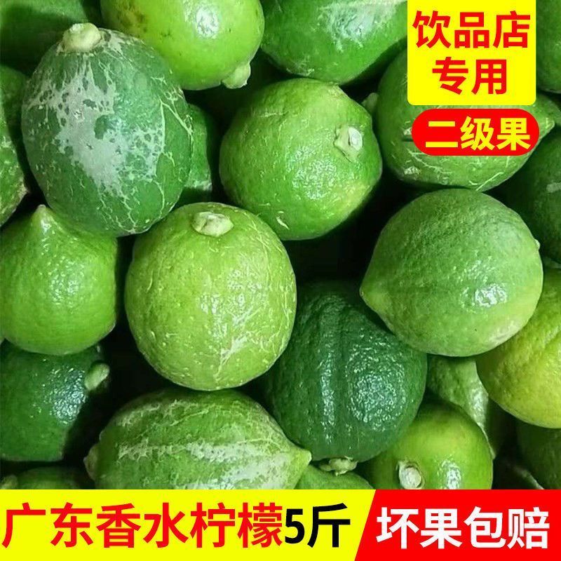 广东香水柠檬无籽现摘奶茶店用