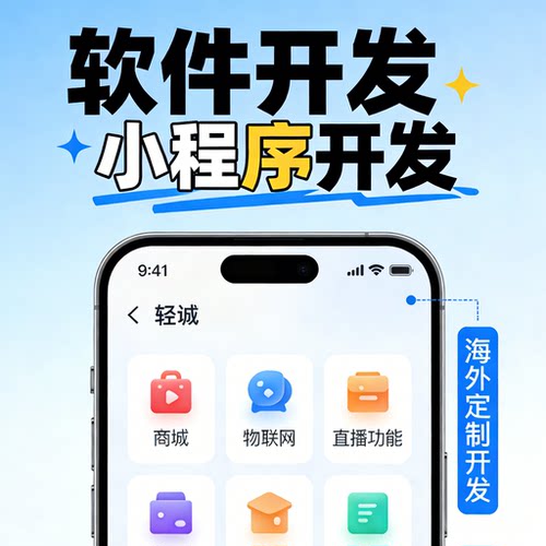 APP 开发定制 微信小程序设计 商城物联网直播 海外系统定制开发
