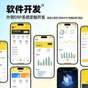 外贸ERP软件开发 小程序定制 APP开发 企业管理系统 网站建设设计