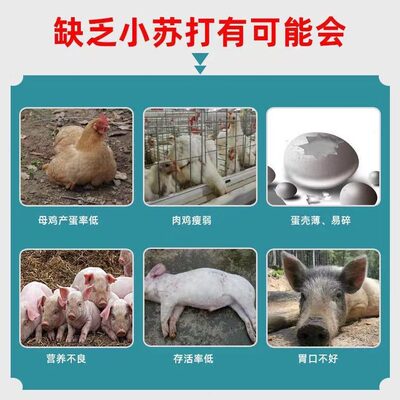 斤猪用5010斤小苏打粉饲料添加剂兽羊0鹅鸡用牛养殖碳酸氢钠鸭畜