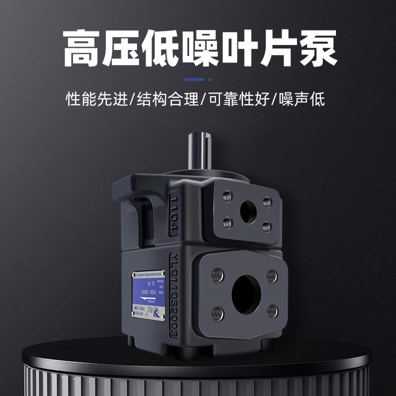 23V2/居永灵-47Y31L/-F1R/281浙江/19/仙叶片泵液压CP//1量定2510