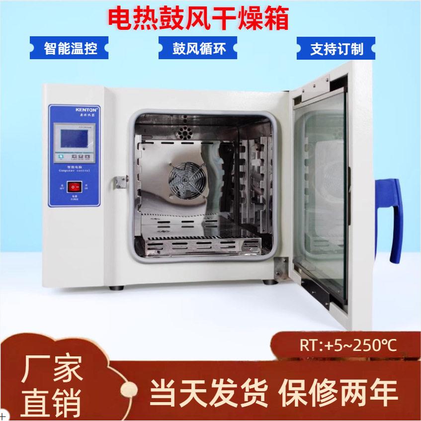 康恒实验玻璃器皿烘干箱五谷杂粮材烘焙烤箱恒温干燥箱